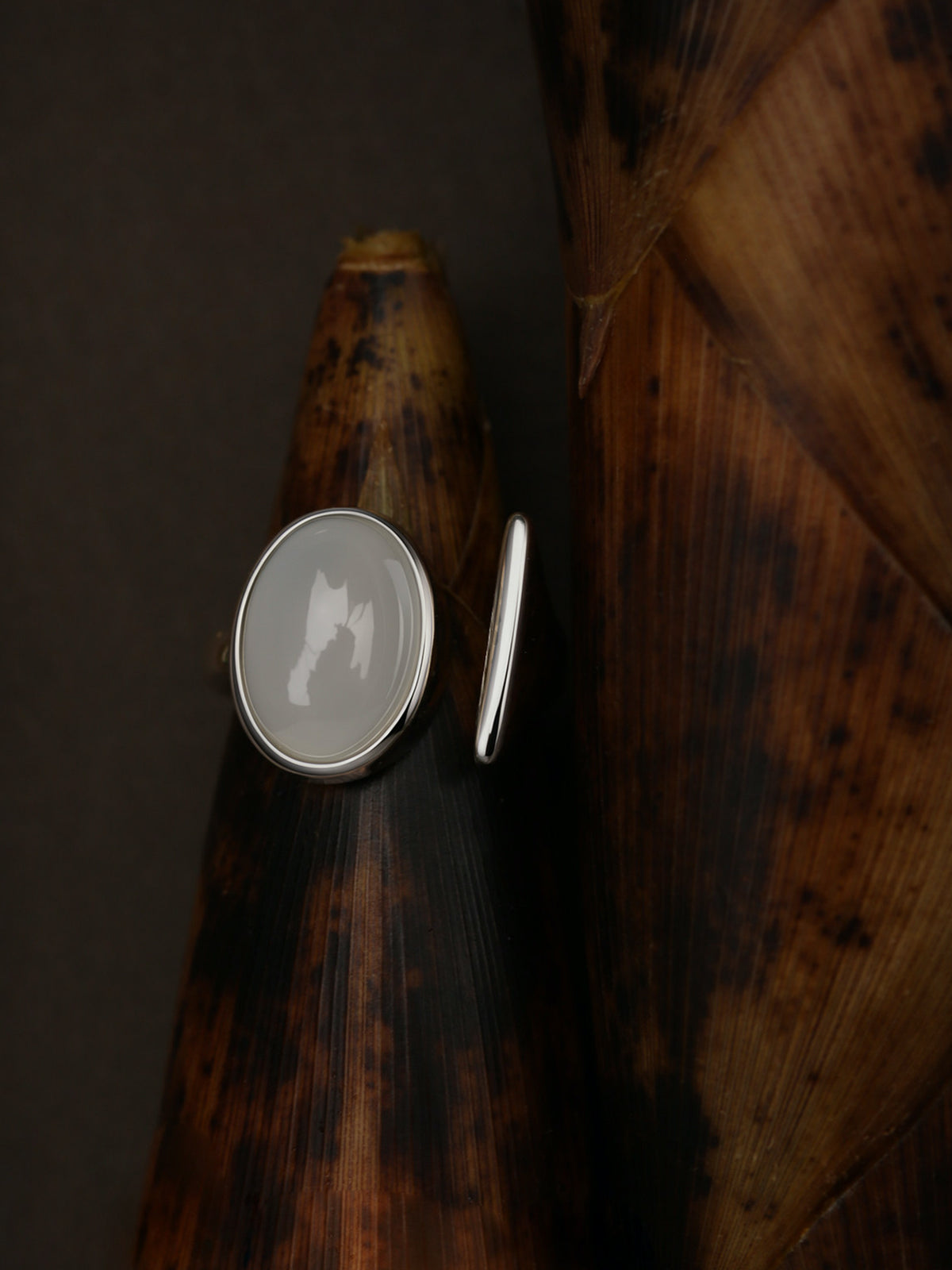 Fairyokai Open Chord silver natural stone ring placed beside bamboo shoot-shaped display objects on a dark background.